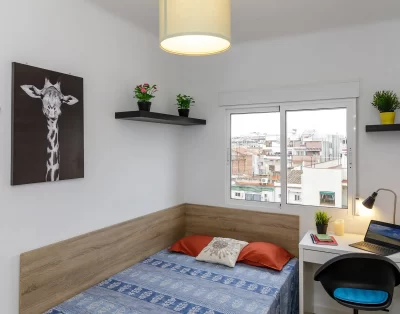 Ideal room for Erasmus students in Barcelona
